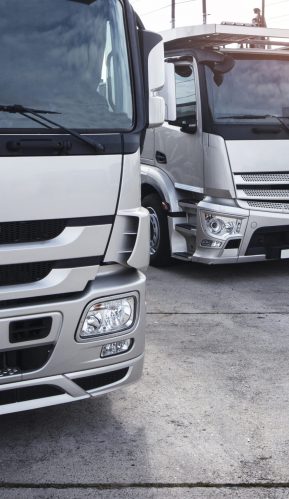 Group of trucks parked in a row.
